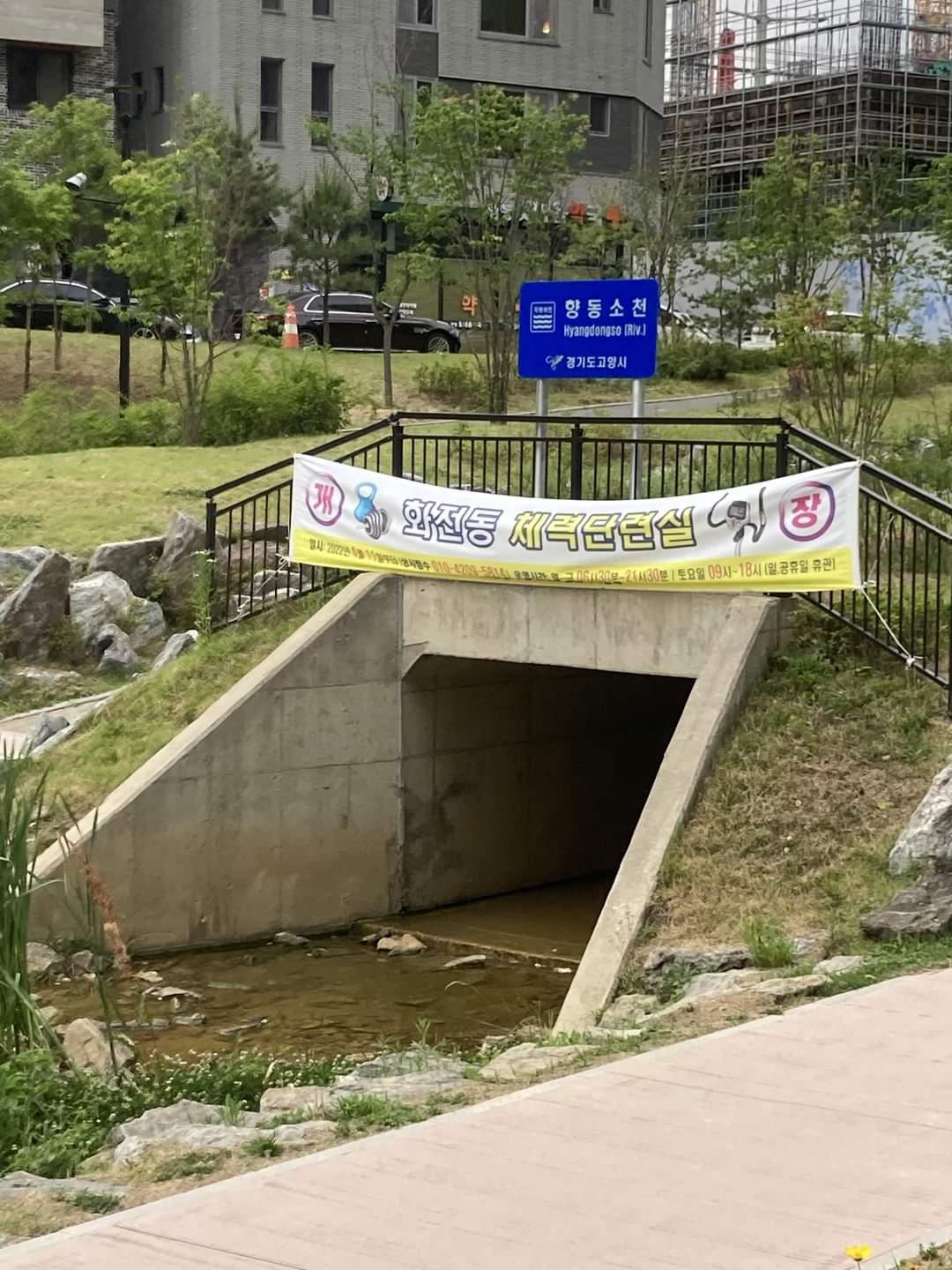 요즘 인스타 감성 헬스장