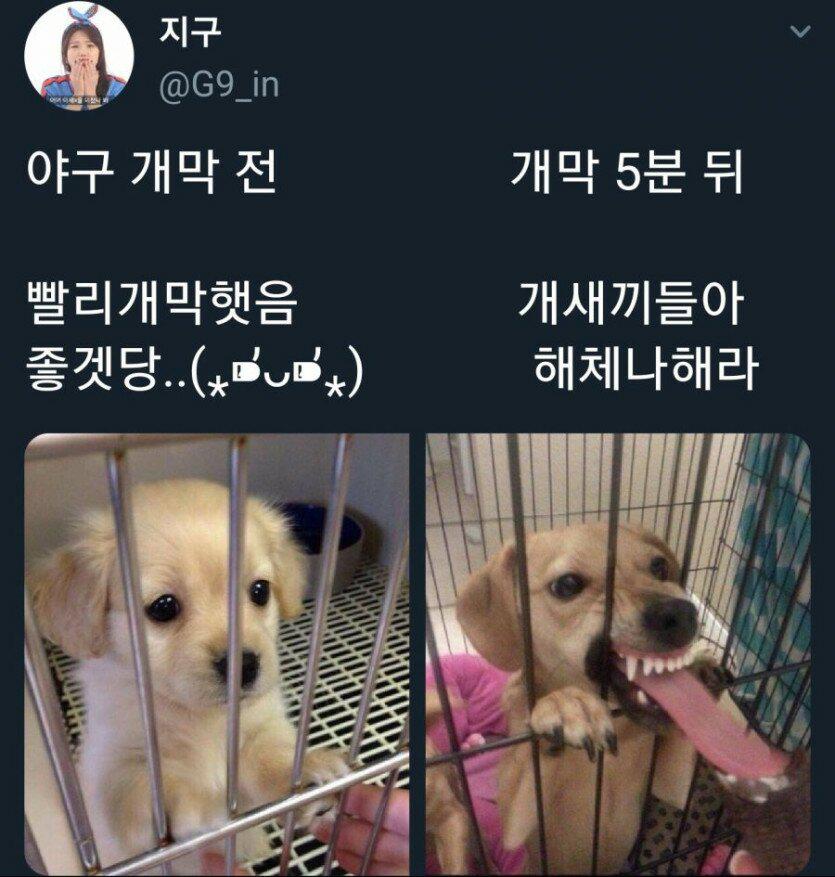 야구를 기다리는 야구 팬들 jpg