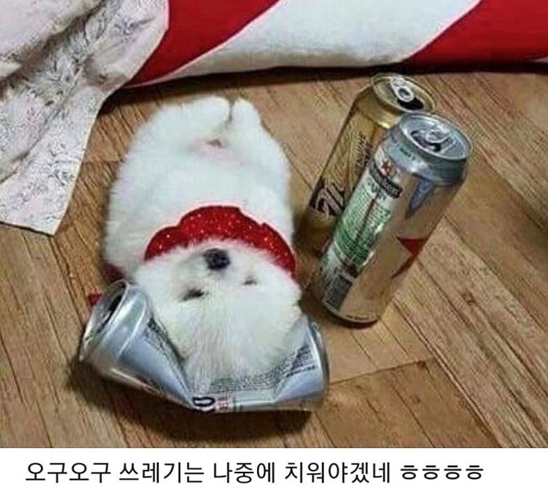 캔맥주를 마시고 구부려 놨더니 생긴 일