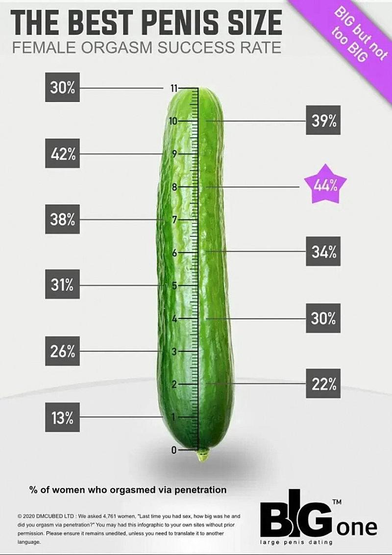 서양 여자가 원하는 남자 길이