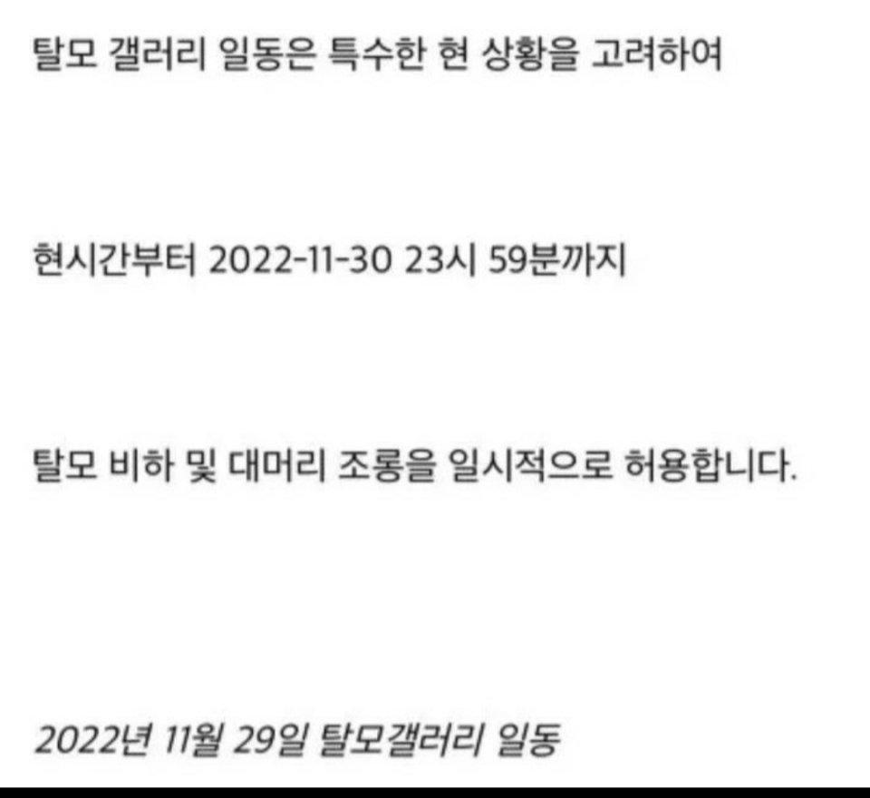 현재 탈모 갤 상황.jpg