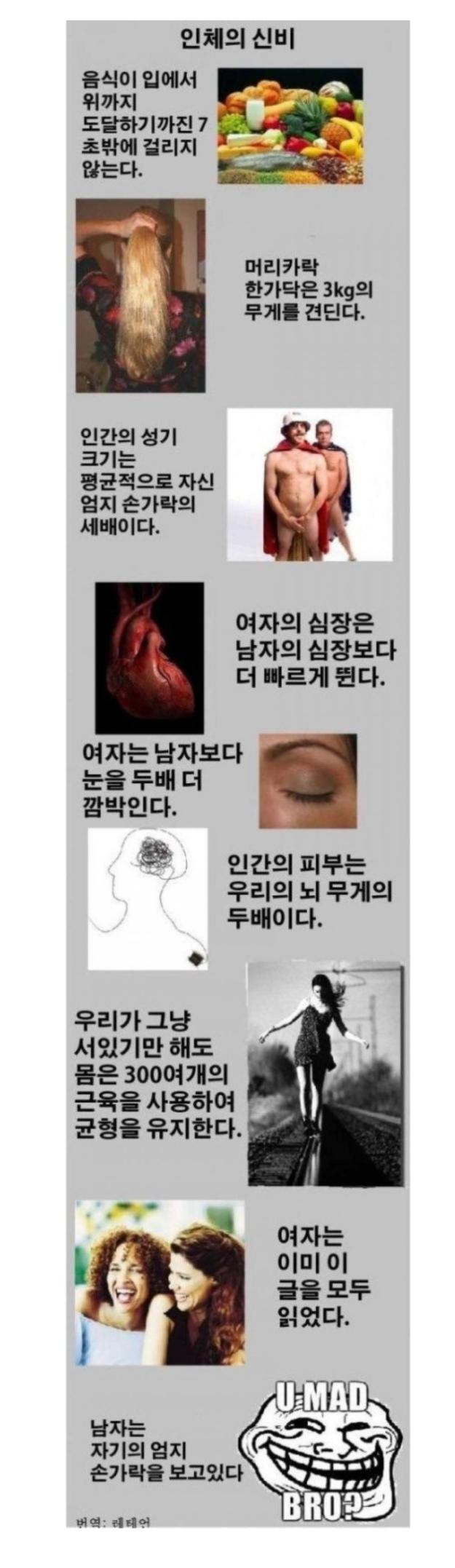 인체의 신비