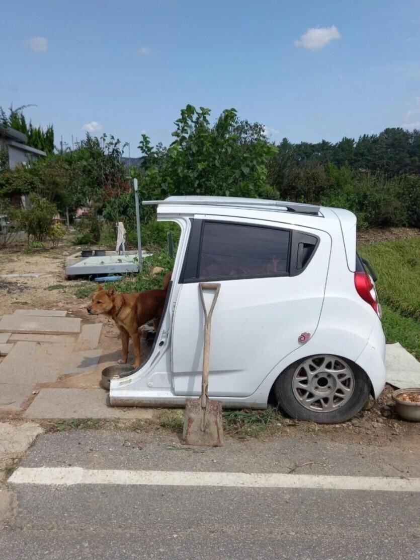 시골 경차 근황