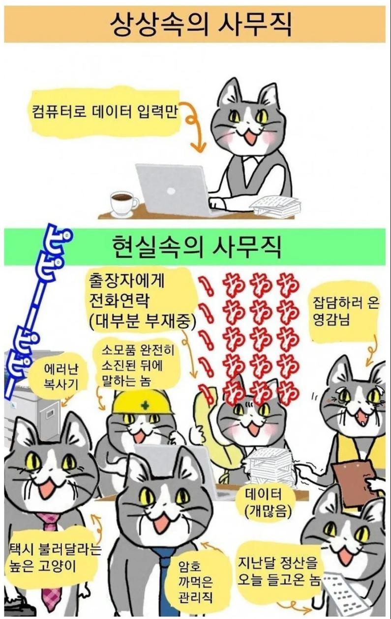 사무직 상상 vs 현실