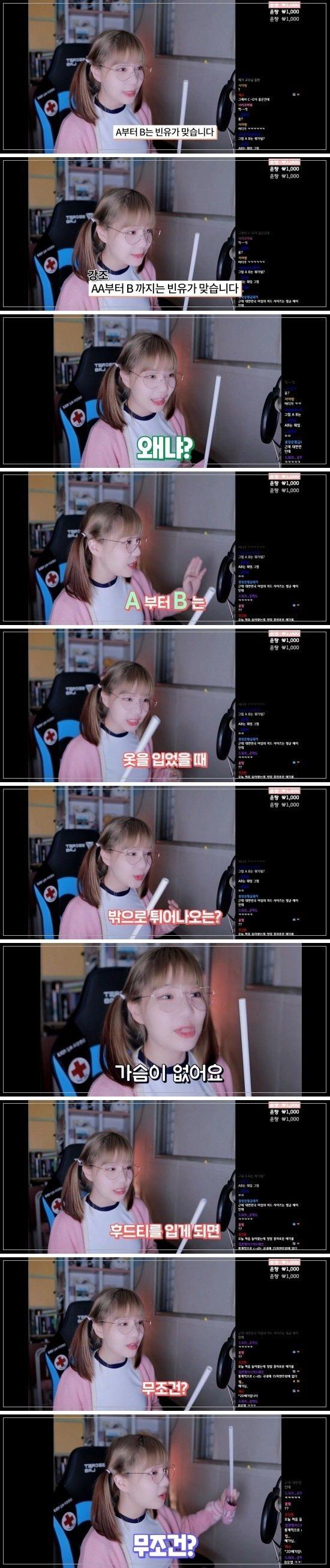여자 BJ가 알려주는 빈유/거유의 기준