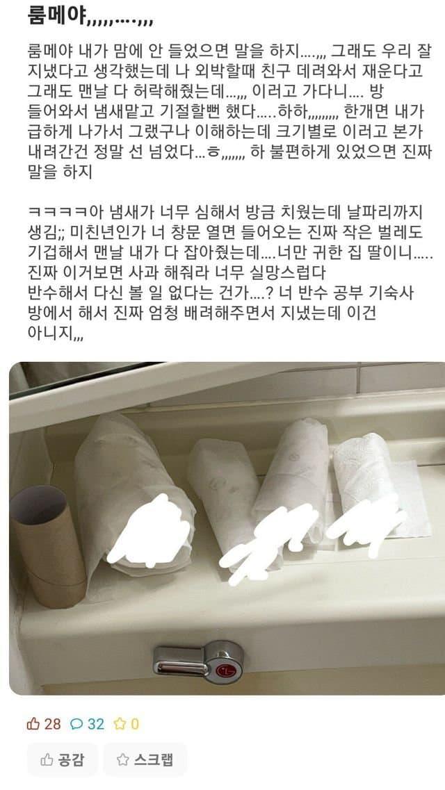 룸메이트