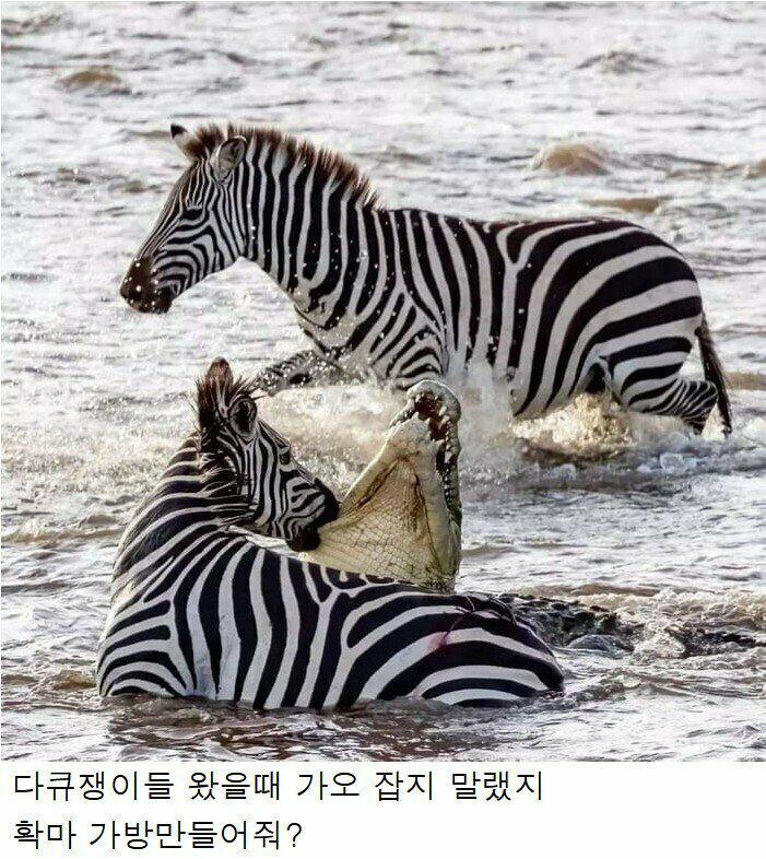 카메라가 꺼졌다.
