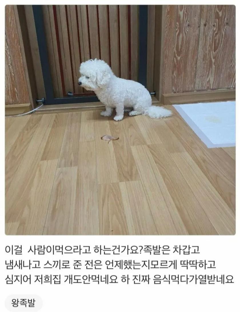 족발 리뷰 레전드