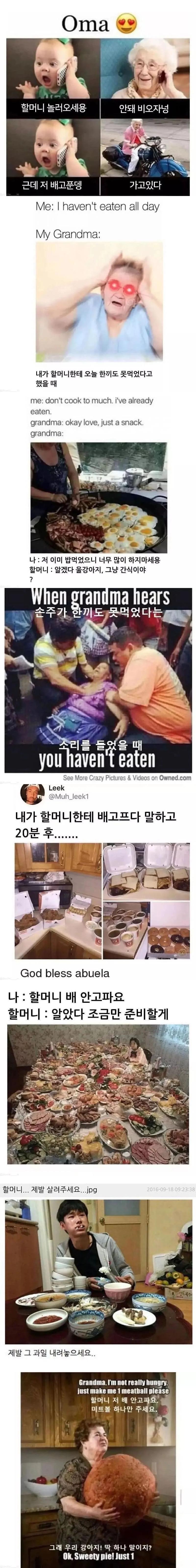 전세계 할머니들 공통점