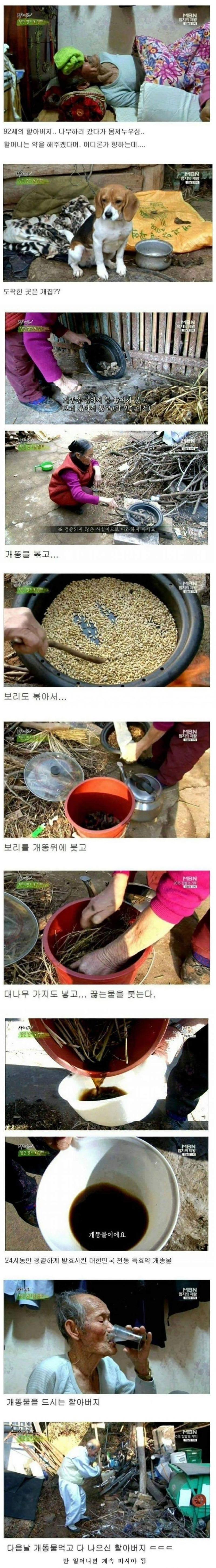 완치율 100% 몸살약