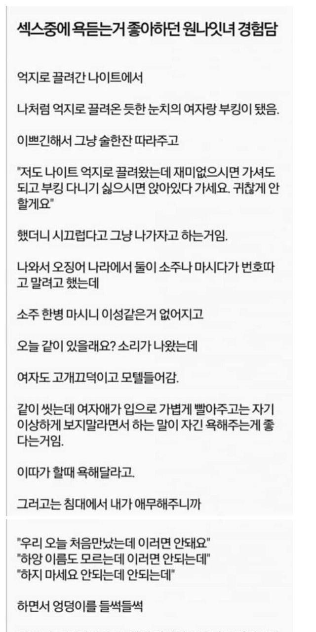 ㅅㅅ 중에 욕듣는거 좋다는 원나잇녀