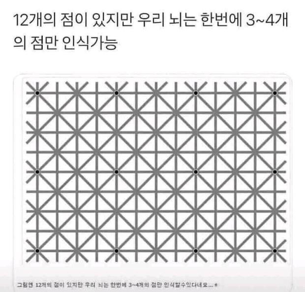 12개의 점이 있지만 동시에 볼 수 없다