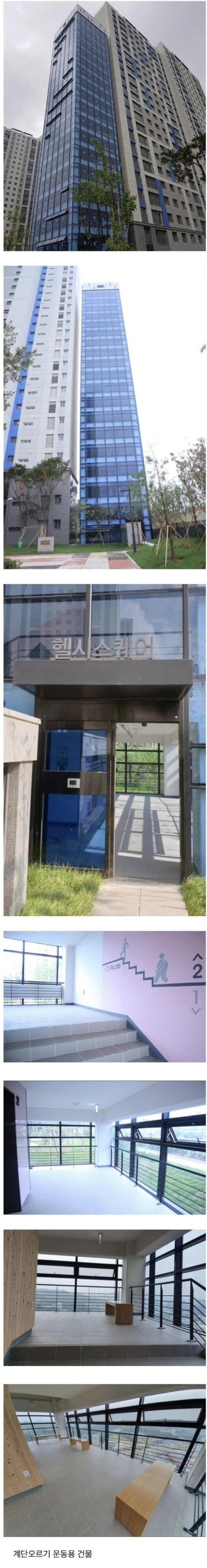 20층 건물의 비밀