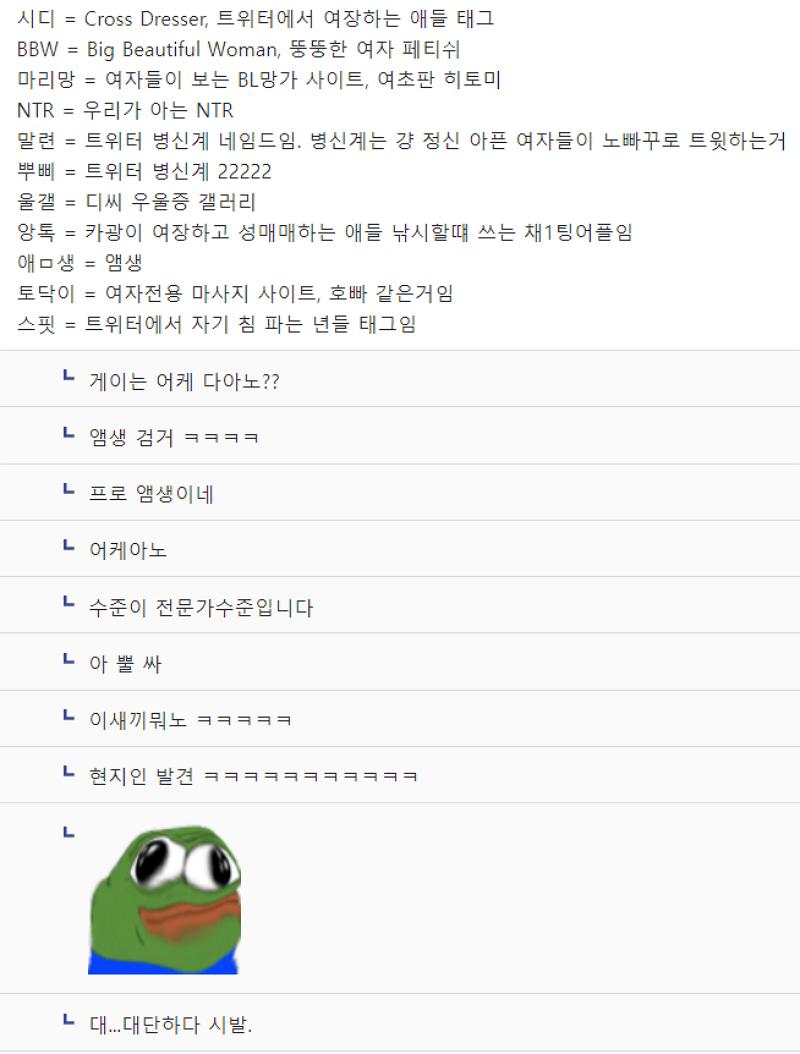 여초 커뮤니티에서 난리난 앰생 판독기