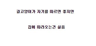 캣맘들이 가장 곤란할때..jpg
