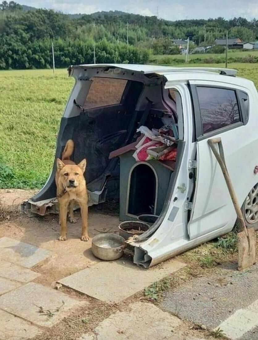 시골 경차 근황