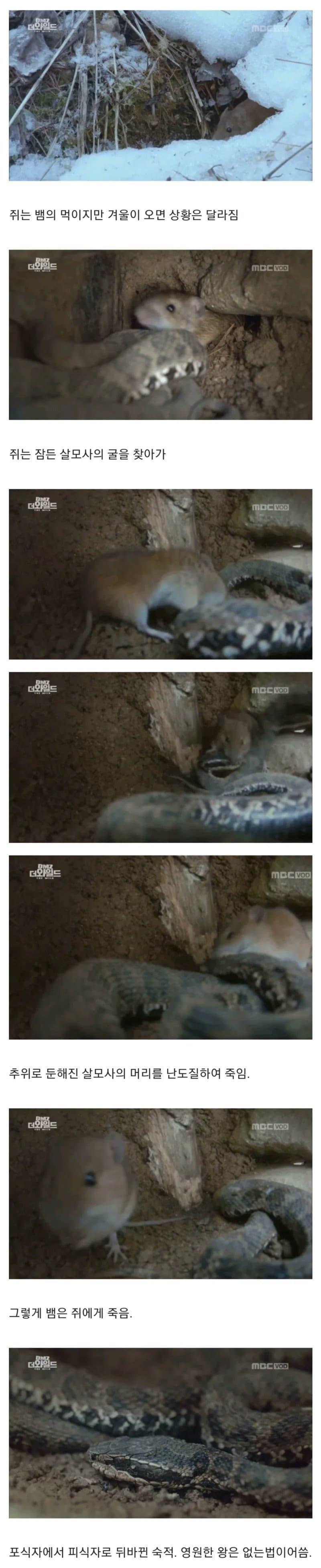 당신의 그 힘
