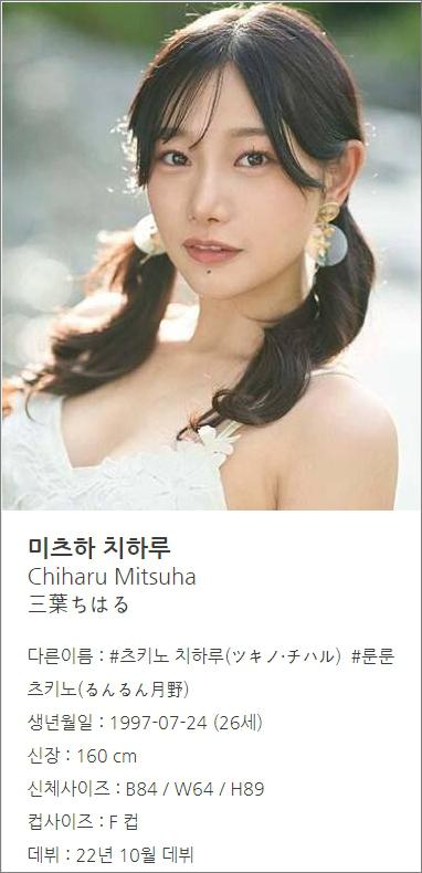 AV 배우 추천   미츠하 치하루