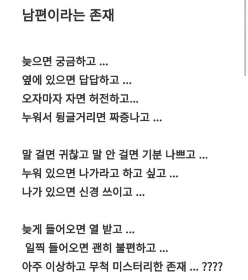남편이라는 존재