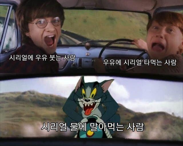 정말 보기 힘들다는 