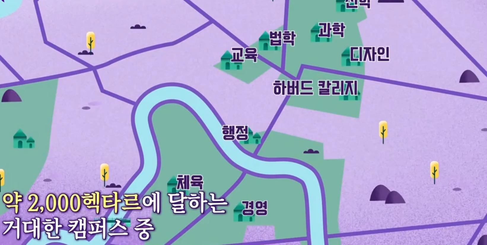 하버드 대학교 면적