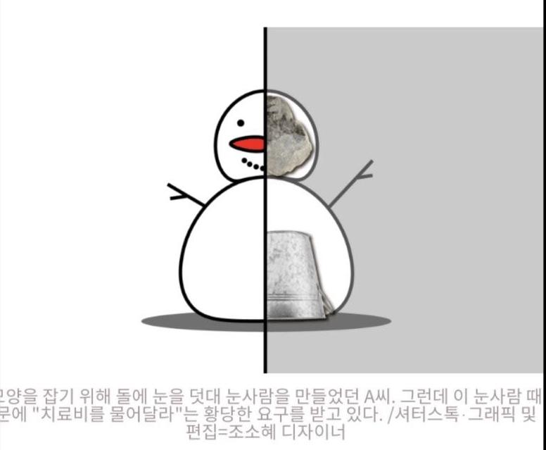 눈사람에 돌 넣어서 다리 부러져... 치료비 달라