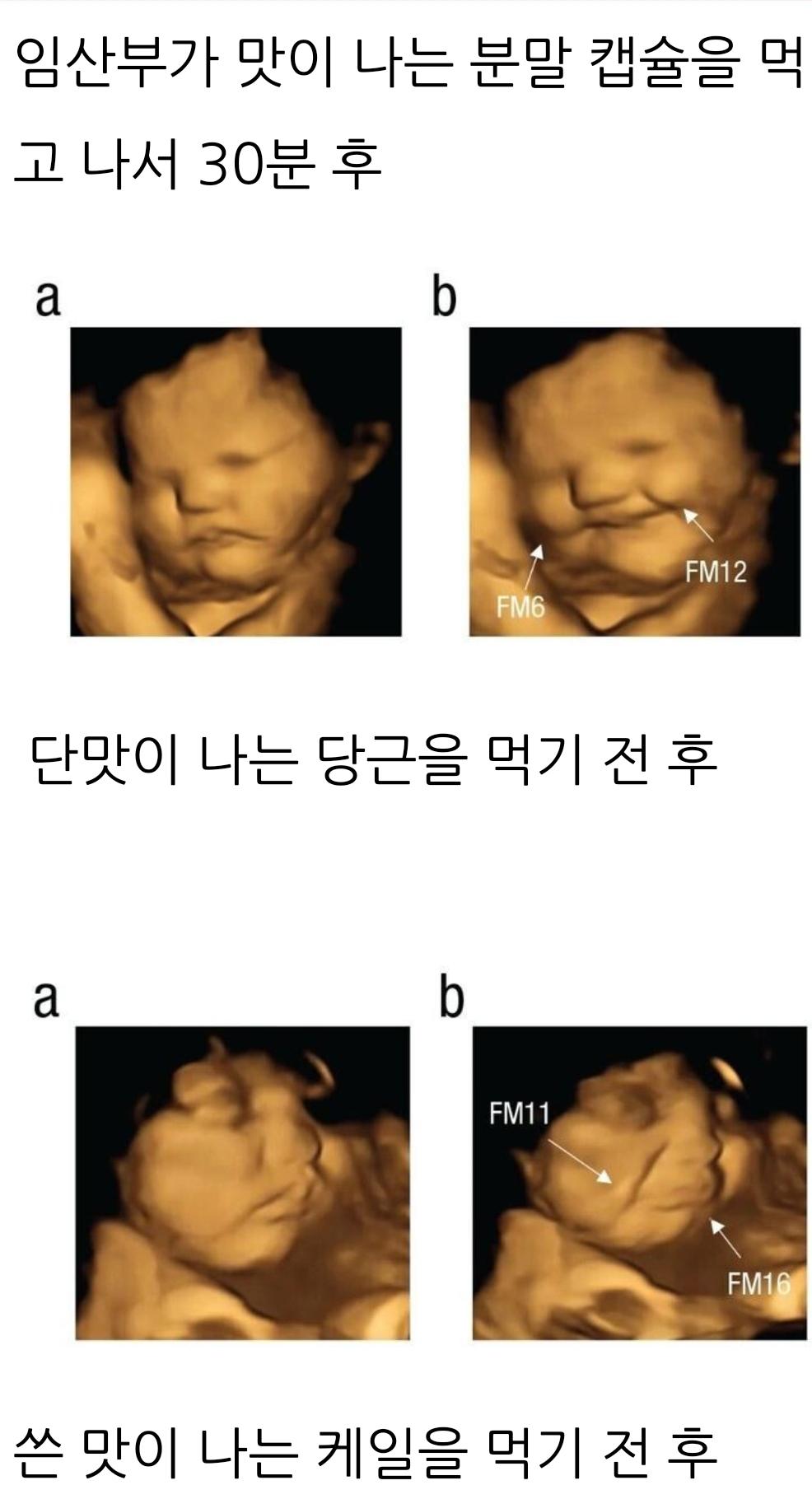 뱃속 아기에게 음식을 먹여봤다.jpg