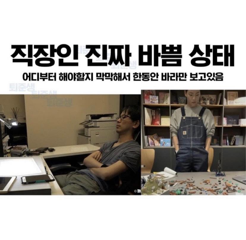 직장인들 진짜 바쁨 vs 가짜 바쁨