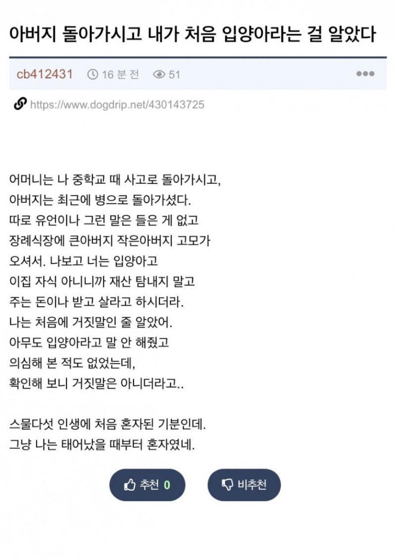 입양아의 현실