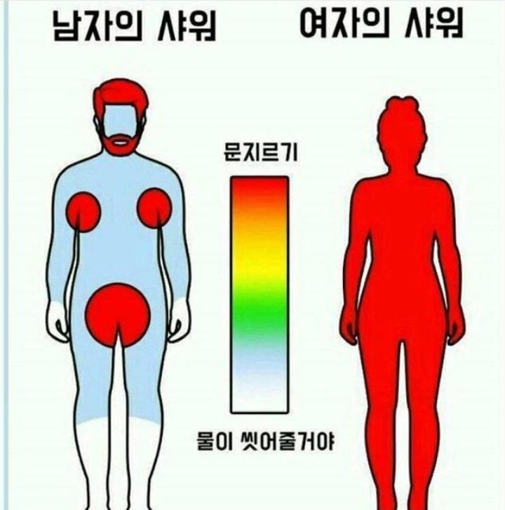 샤워의 차이