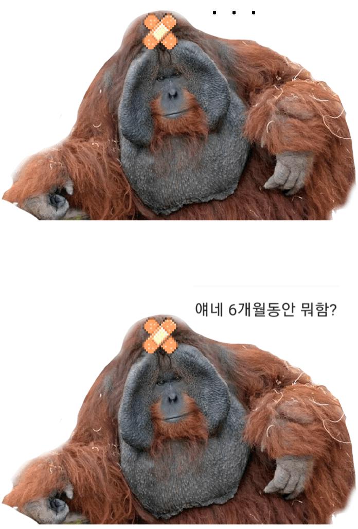 카타르 월드컵 개막전 경기 시청 소감