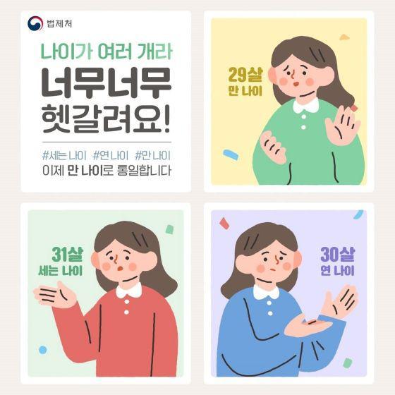 냉혹한 K 나이의 세계