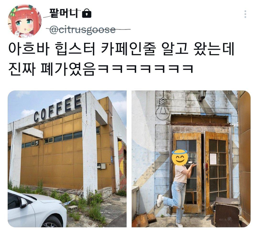 인스타 감성카페 대참사