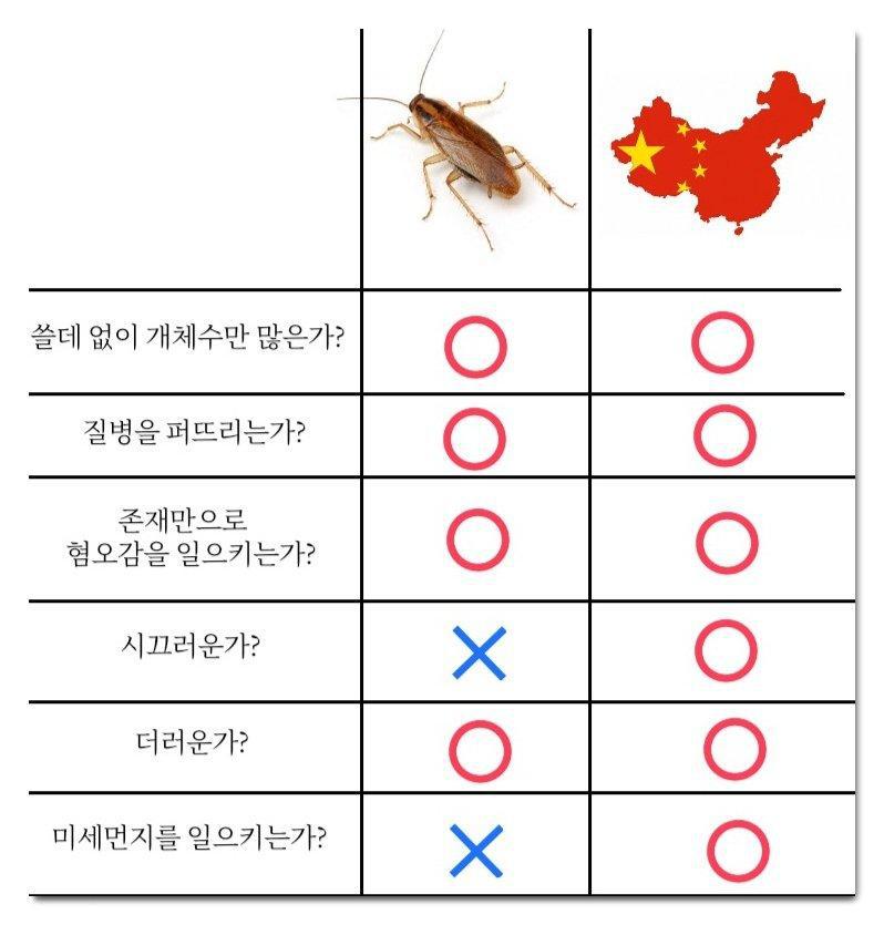 중국 VS 바퀴벌레
