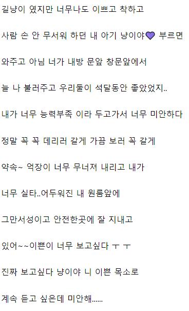 태풍 오는데 고양이 유기한 캣맘 근황