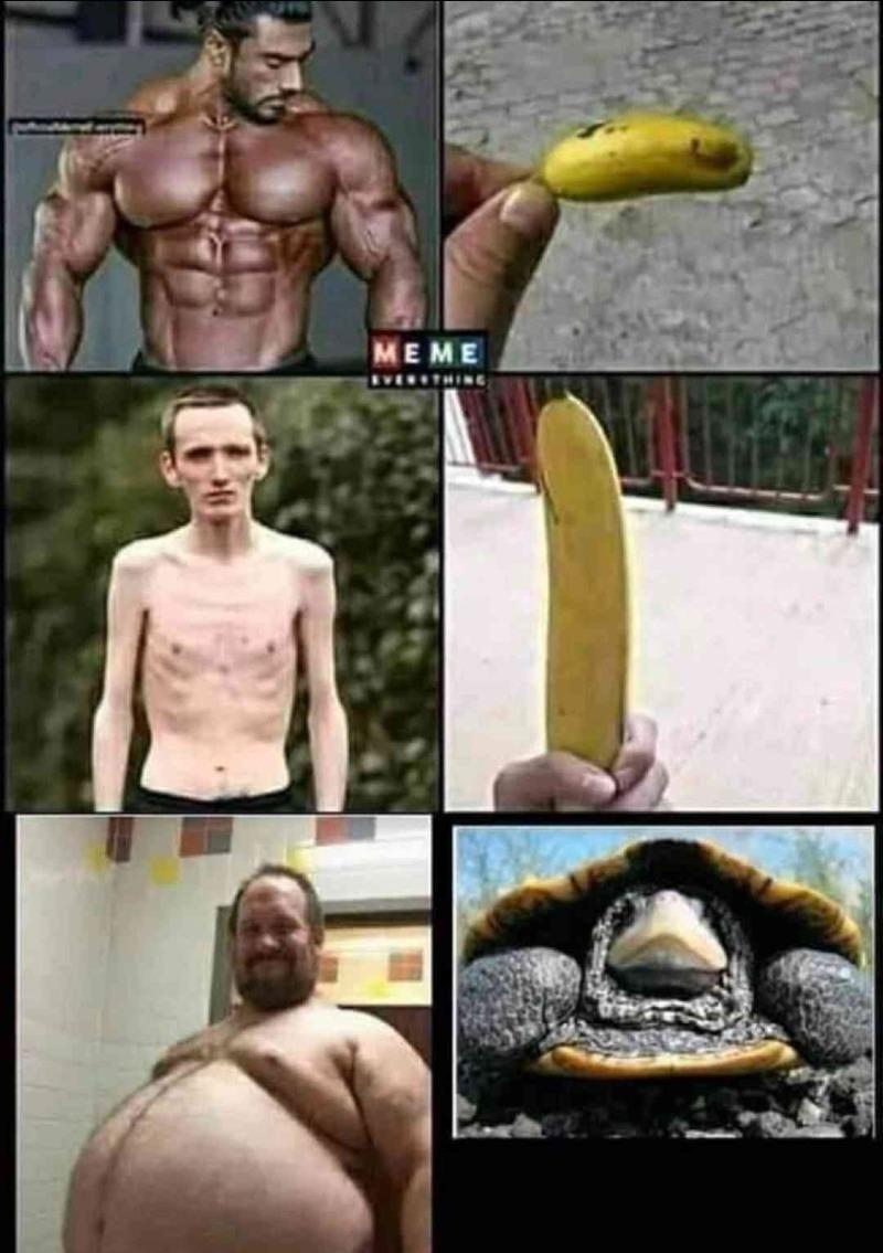 남자 몸매별 특징