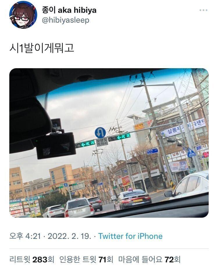 신호등 보고 당황한 사람