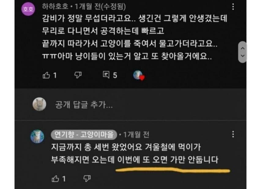 캣맘들의 이중성