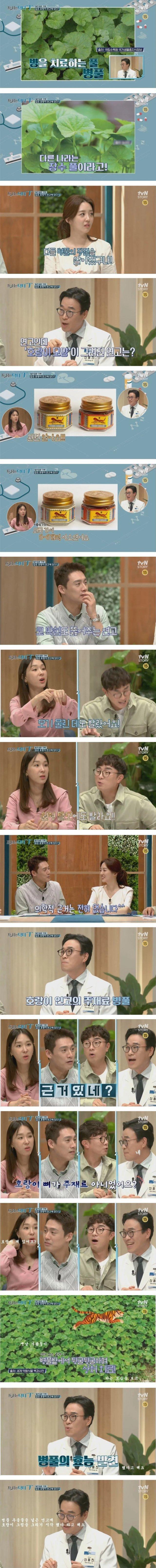 헐.... 호랑이연고가....