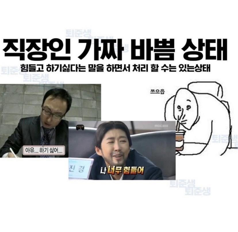 직장인들 진짜 바쁨 vs 가짜 바쁨