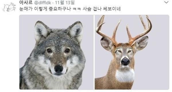 눈매 중요성