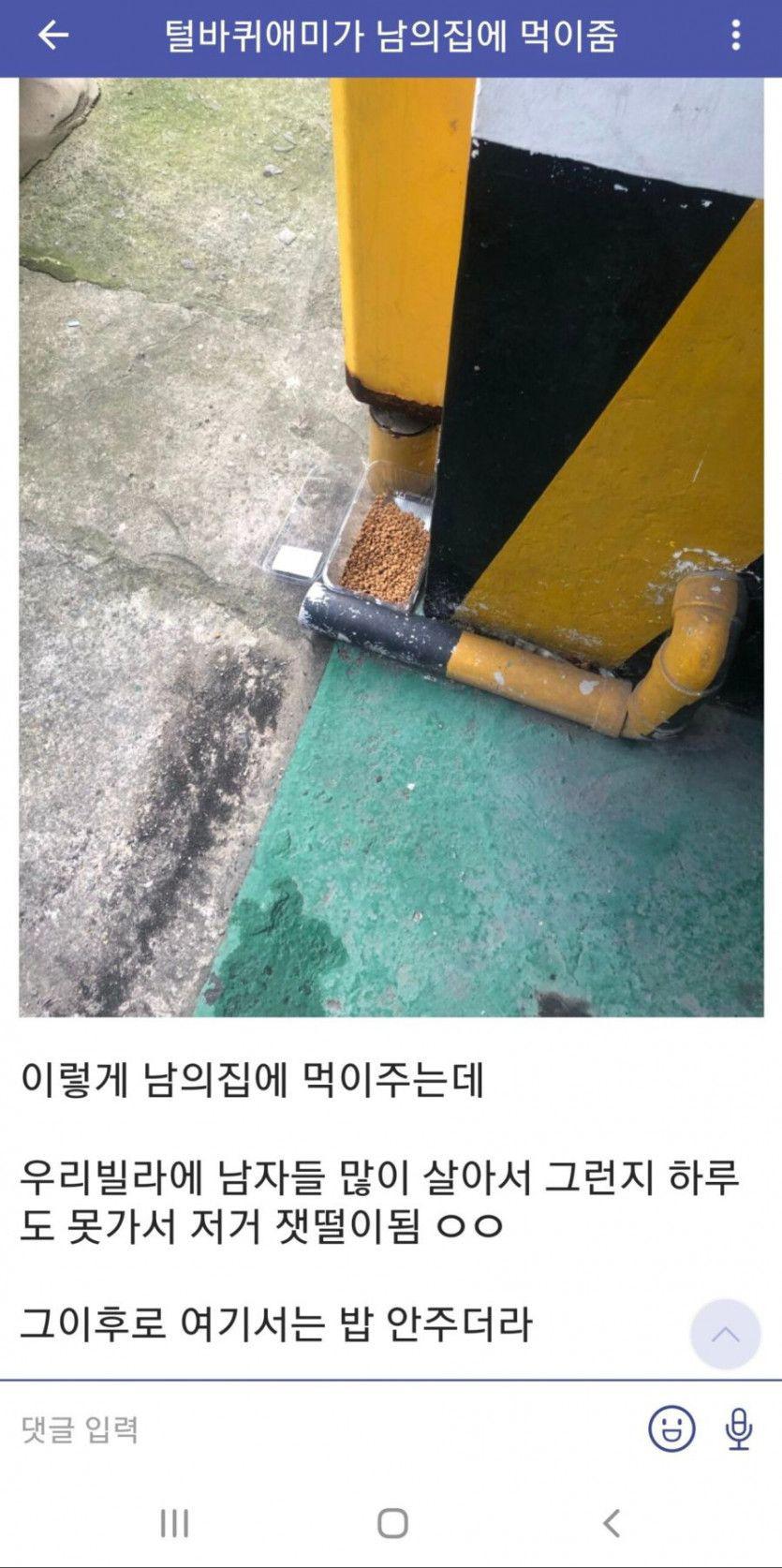 캣맘의 극하드 카운터
