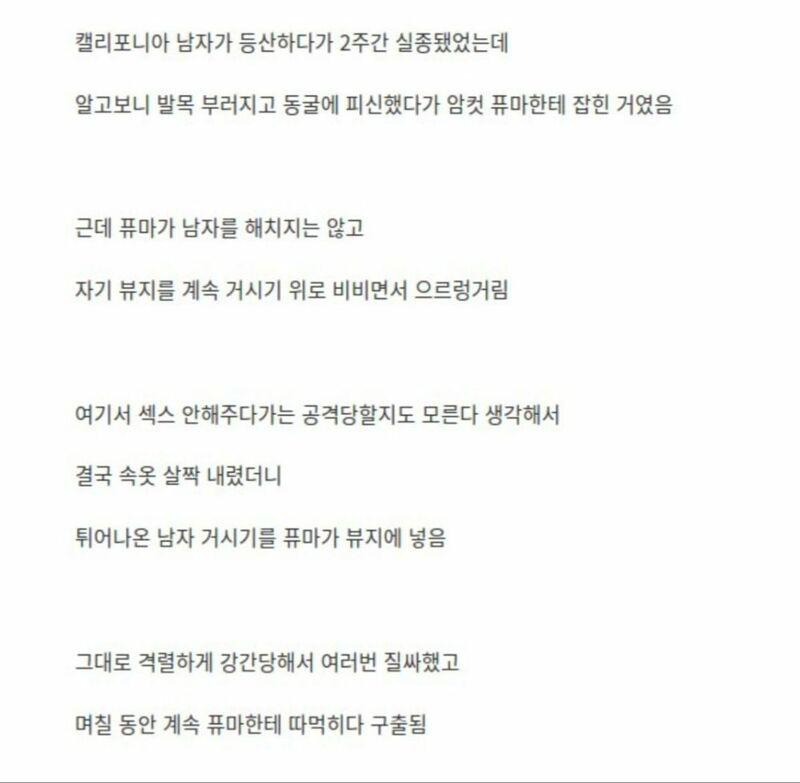 퓨마한테 따먹힌 남자