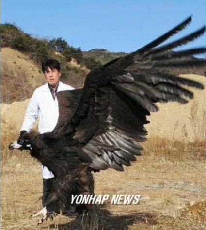 쉽게 볼 수 없는 광경