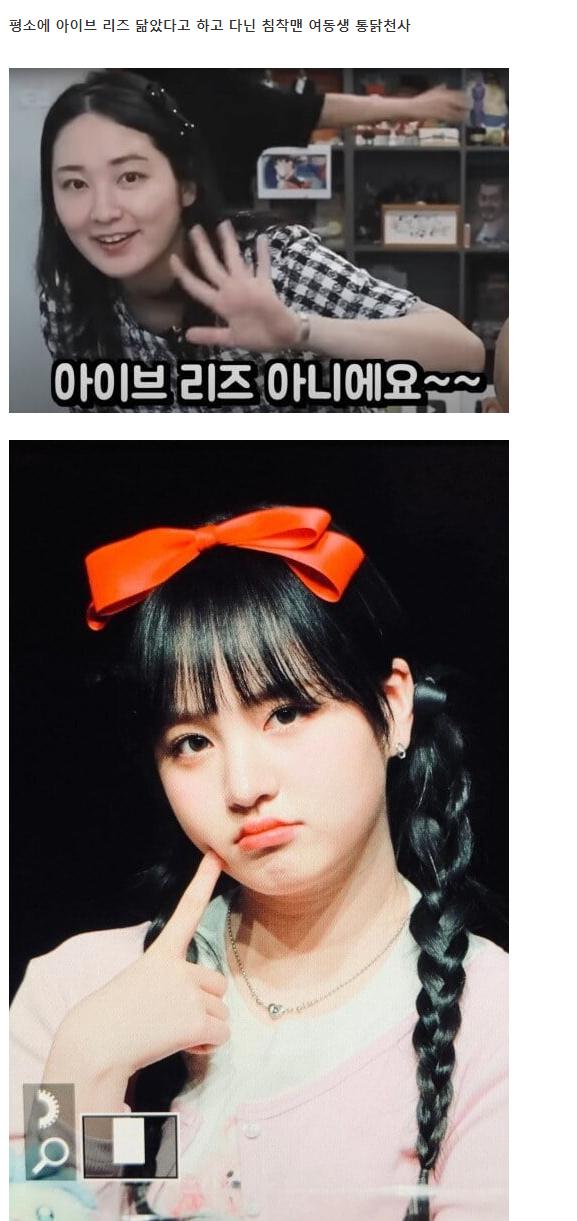 침착맨 여동생이 나 아이브 리즈 닮았지 않아? 라고 말한 뒤 벌어진 나비 효과