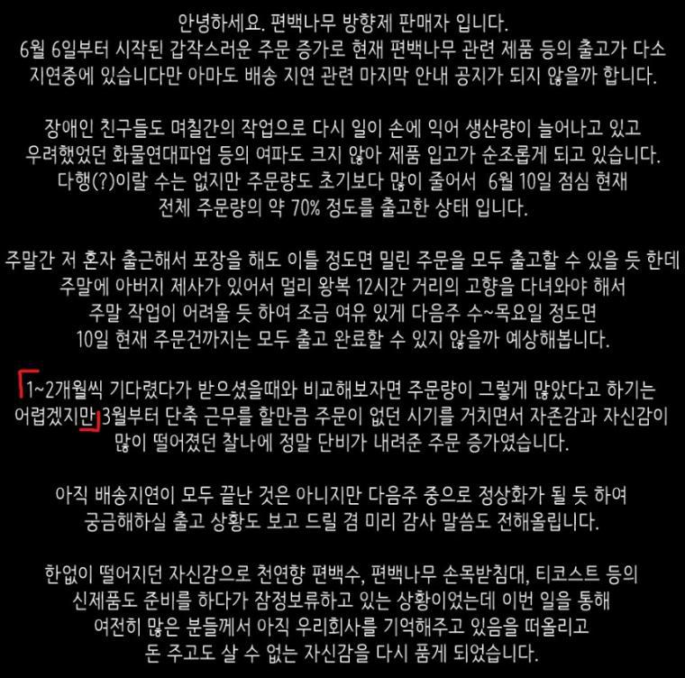 편백나무 6월10일 공지