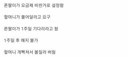 60대 할머니를 건들인 폰팔이의 최후