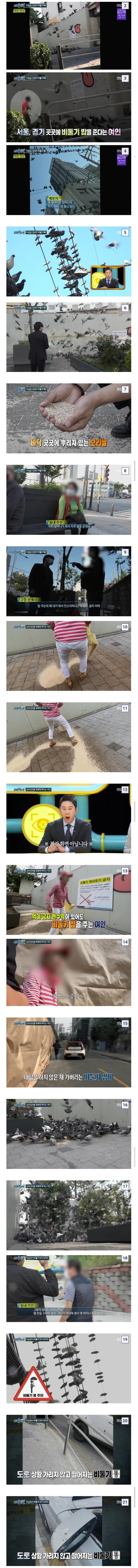 캣맘이 선녀로 보임.jpg