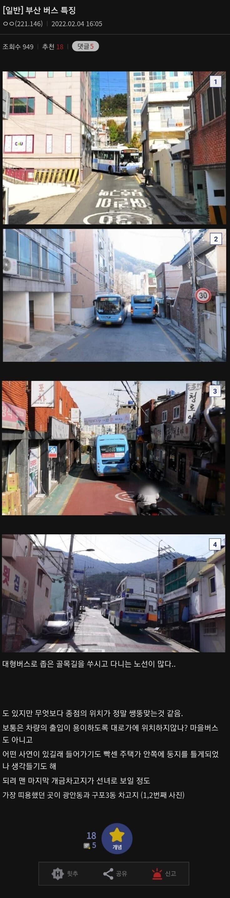 부산버스 특징.jpg
