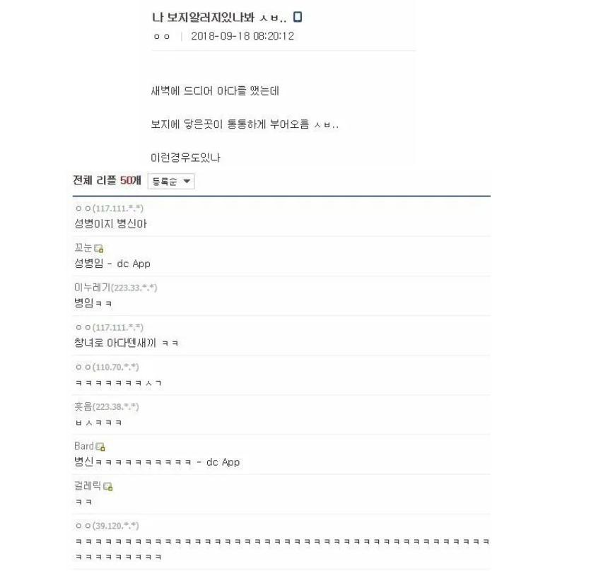 보1지 알러지 있는 디시인